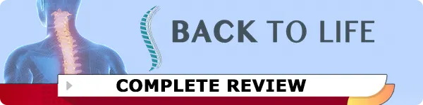 Back to Life 3 Level Healthy Back System Review