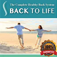 Back to Life 3 Level Healthy Back System PDF