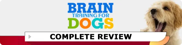 Brain Training for Dogs Review