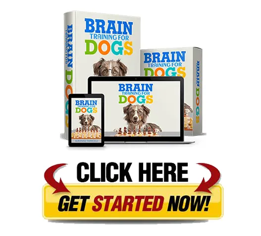 brain training for dogs review does it actually work