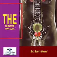 The Prostate Protocol PDF