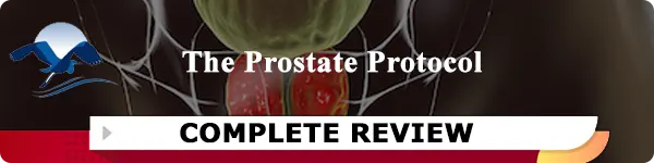 The Prostate Protocol Review