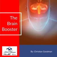 The Brain Booster PDF