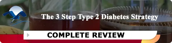 3 step type 2 diabetes strategy review